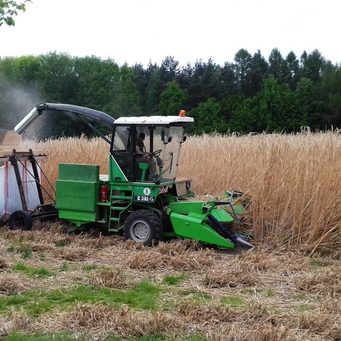 960 kg di pellet di miscanto come combustibile, consegna inclusa - immagine 2